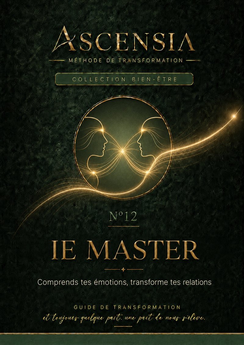 Couverture du programme IE Master