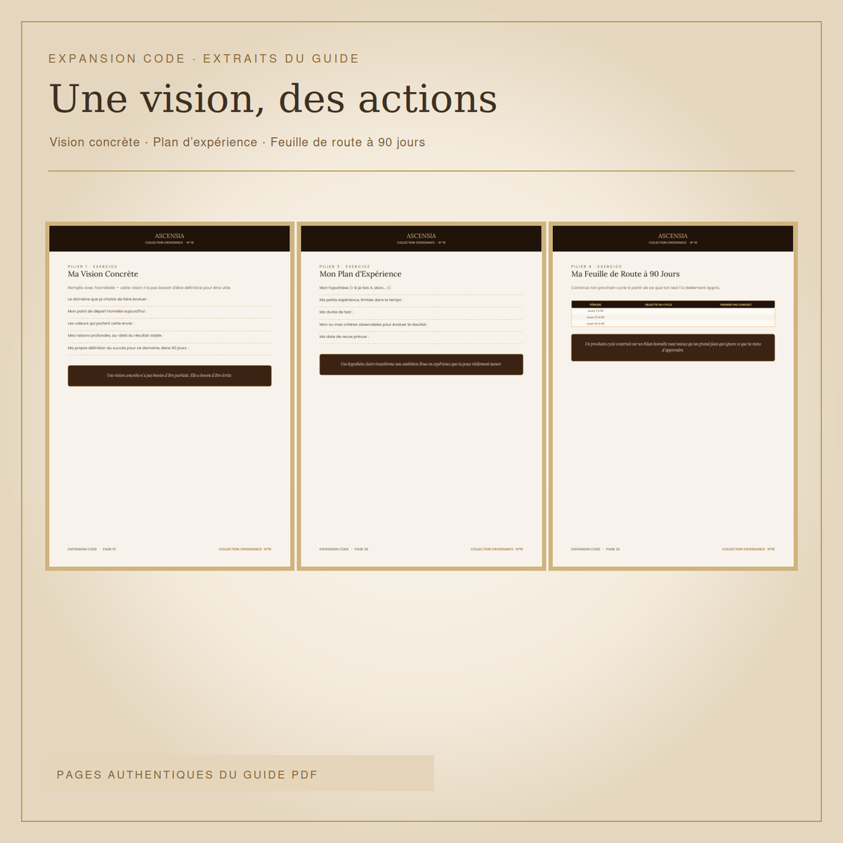 Expansion Code — choisis une direction et avance par étapes
