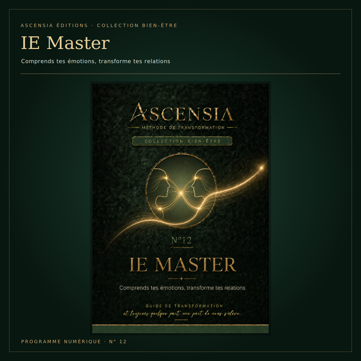 IE Master — mieux se comprendre pour mieux communiquer