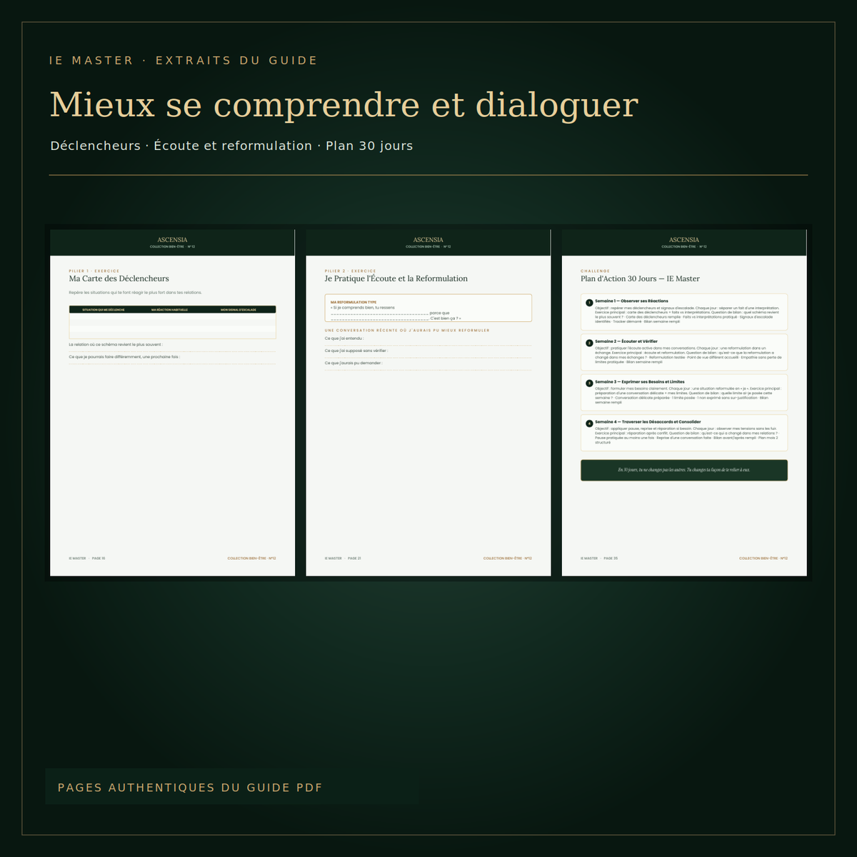IE Master — mieux se comprendre pour mieux communiquer