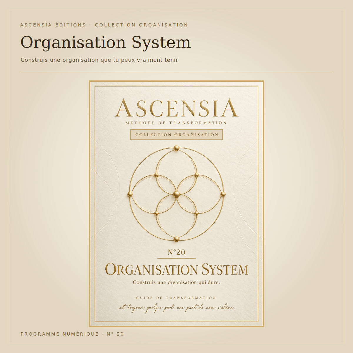 Organisation System — construis un système que tu peux vraiment tenir